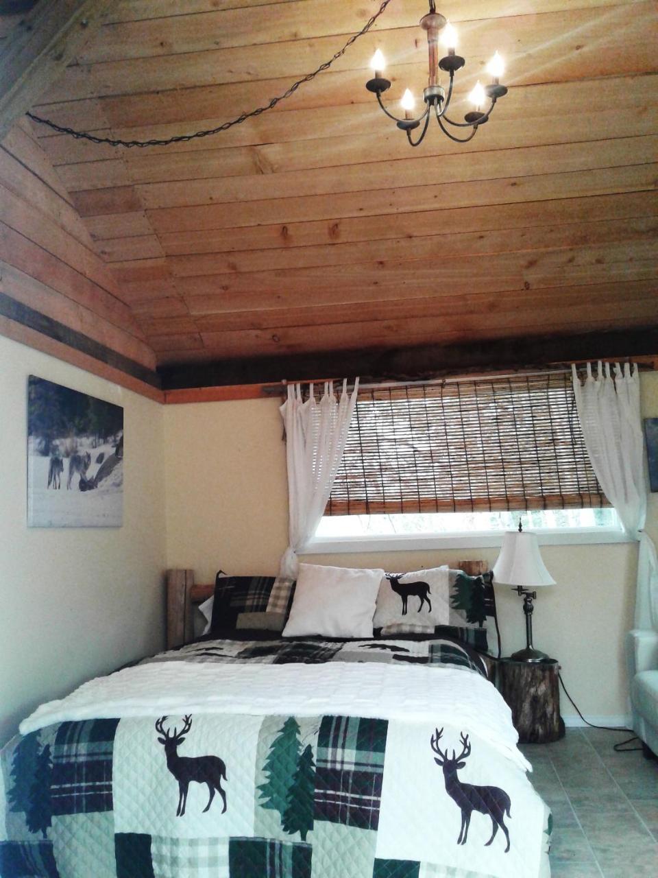 Eagle Bear Lodge Tatla Lake المظهر الخارجي الصورة